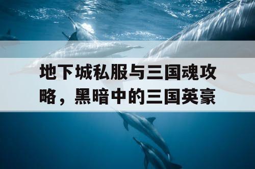 地下城私服与三国魂攻略，黑暗中的三国英豪