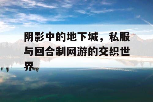 阴影中的地下城，私服与回合制网游的交织世界