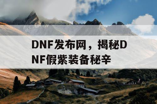 DNF发布网，揭秘DNF假紫装备秘辛