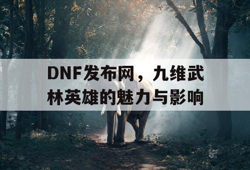 DNF发布网，九维武林英雄的魅力与影响