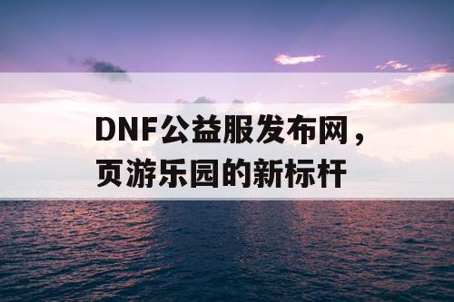 DNF公益服发布网，页游乐园的新标杆