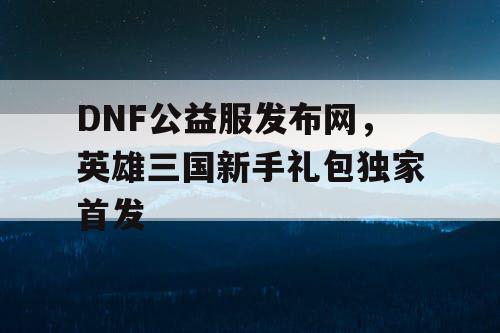 DNF公益服发布网，英雄三国新手礼包独家首发