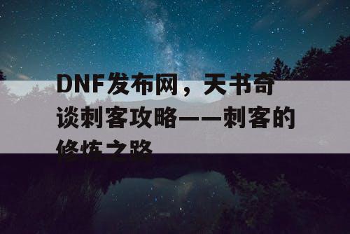 DNF发布网，天书奇谈刺客攻略——刺客的修炼之路