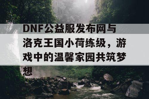 DNF公益服发布网与洛克王国小荷练级，游戏中的温馨家园共筑梦想