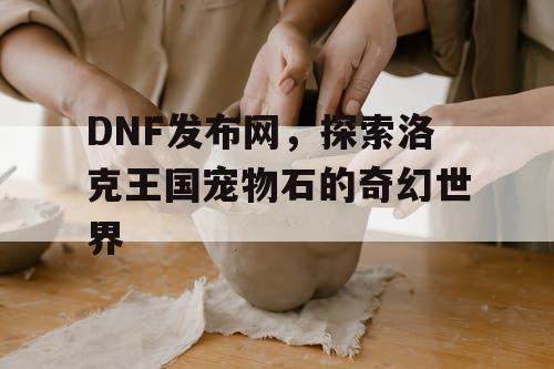 DNF发布网，探索洛克王国宠物石的奇幻世界