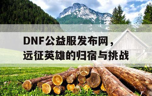 DNF公益服发布网，远征英雄的归宿与挑战