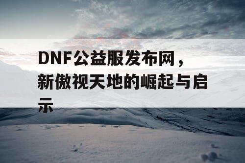 DNF公益服发布网，新傲视天地的崛起与启示