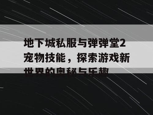 地下城私服与弹弹堂2宠物技能，探索游戏新世界的奥秘与乐趣